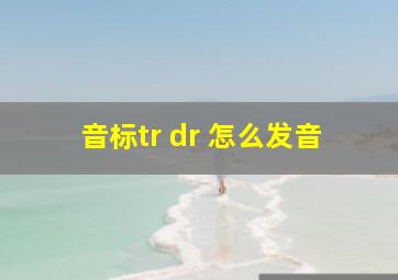 音标tr dr 怎么发音